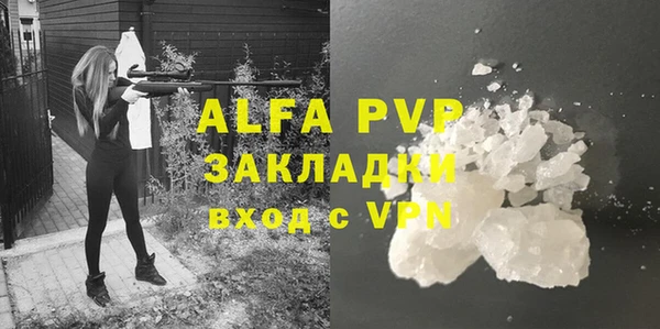 эйфоретик Вяземский