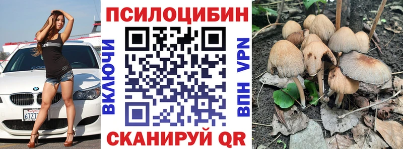 Псилоцибиновые грибы MAGIC MUSHROOMS  ОМГ ОМГ ссылки  Донской  купить наркотик 